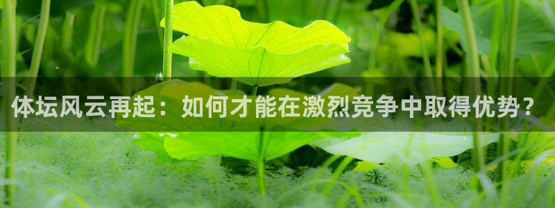 杏运体育官网：体坛风云再起：如何才能在激烈竞争中取得优势？
