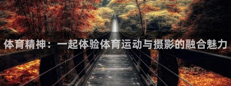 杏运4平台注册：体育精神：一起体验体育运动与摄影的融合魅力