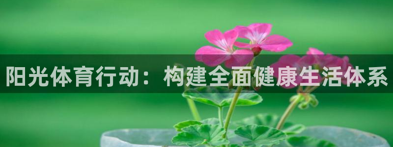杏运vk：阳光体育行动：构建全面健康生活体系