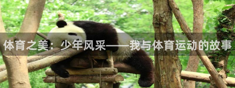 杏运体育2：体育之美：少年风采——我与体育运动的故事