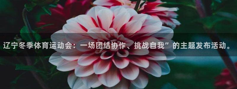 杏运体育1招商