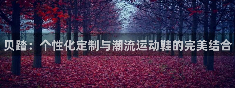 杏运平台总代理：贝踏：个性化定制与潮流运动鞋的完美结合