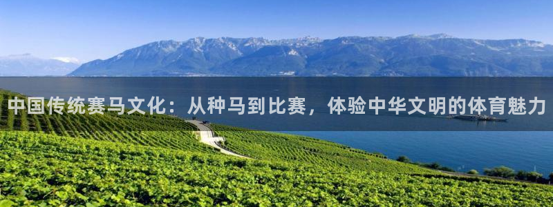 杏运官网：中国传统赛马文化：从种马到比赛，体验中华文明的体育魅力