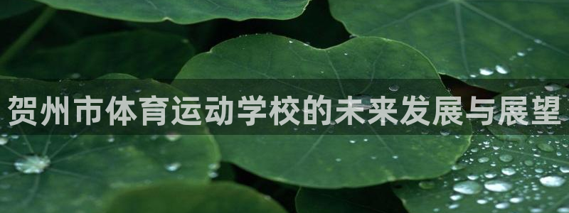 杏运体育注册：贺州市体育运动学校的未来发展与展望