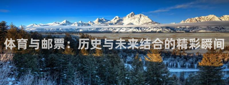 杏运娱乐怎么样：体育与邮票：历史与未来结合的精彩瞬间