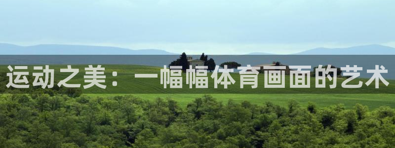 杏运主管：运动之美：一幅幅体育画面的艺术