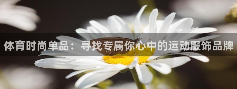杏运体育2：体育时尚单品：寻找专属你心中的运动服饰品牌