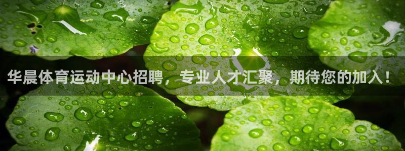 杏运4登录：华晨体育运动中心招聘，专业人才汇聚，期待您的加入！