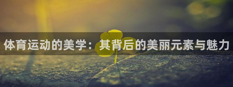 杏运体育网页版入口：体育运动的美学：其背后的美丽元素与魅力