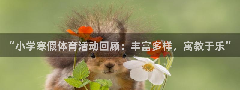 杏运娱乐登录：“小学寒假体育活动回顾：丰富多样，寓教于乐”