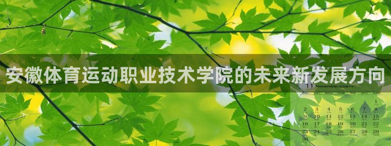 杏运3平台登录注册：安徽体育运动职业技术学院的未来新发展方向