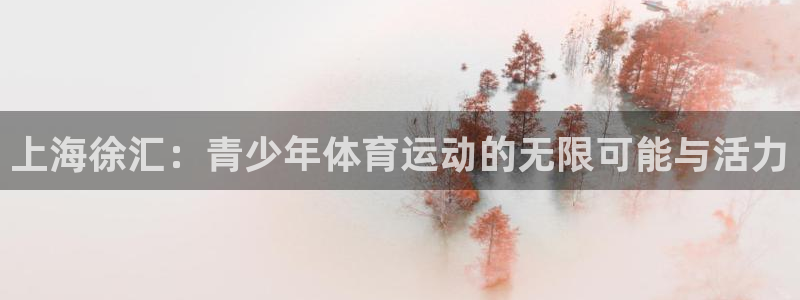 杏运体育凯捷代理注册：上海徐汇：青少年体育运动的无限可能与活力