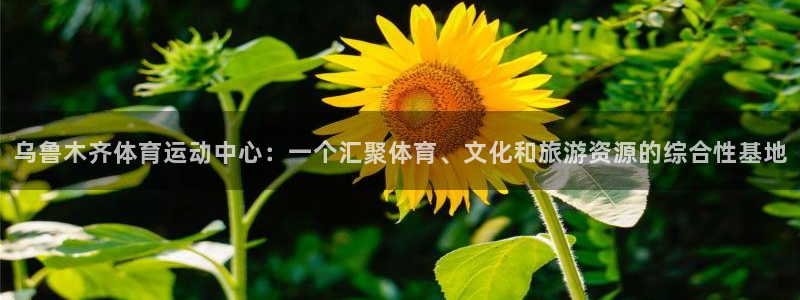 杏运体育2：乌鲁木齐体育运动中心：一个汇聚体育、文化和旅游资源的综合性基地