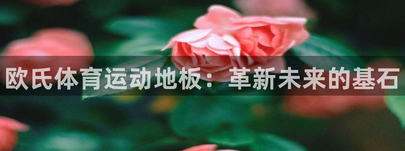 杏运达贝钙是正规品牌吗：欧氏体育运动地板：革新未来的基石