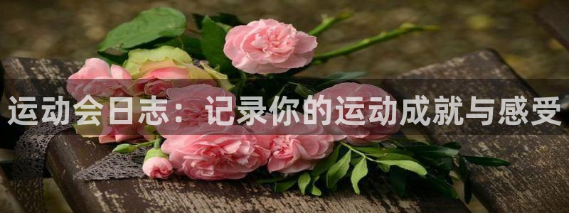 杏运体育官网注册：运动会日志：记录你的运动成就与感受