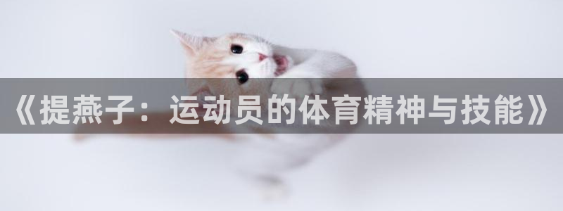 山东杏运新能源汽车有限公司：《提燕子：运动员的体育精神与技能》