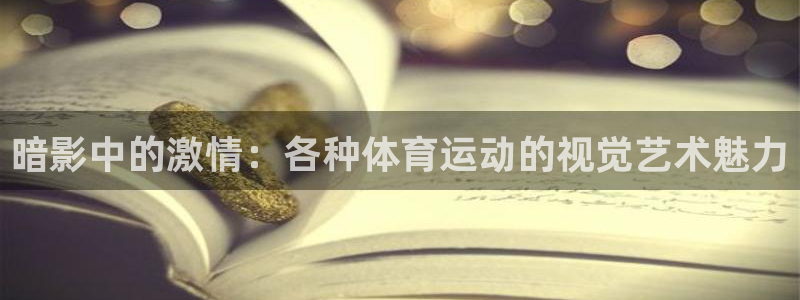 杏运体育凯捷平台注册：暗影中的激情：各种体育运动的视觉艺术魅力