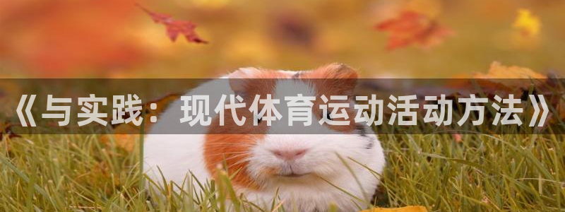 杏运平台注册入口：《与实践：现代体育运动活动方法》