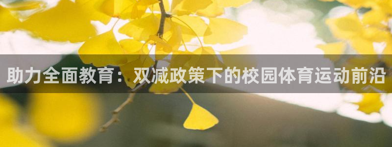 杏运代理