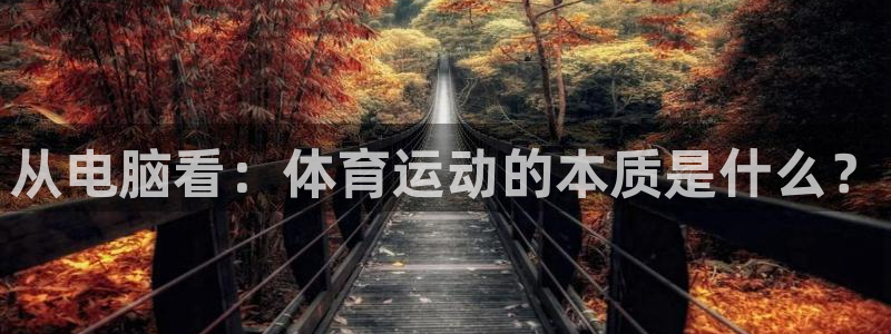 杏运体育3：从电脑看：体育运动的本质是什么？
