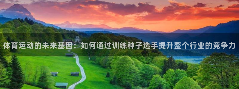杏运汽车：体育运动的未来基因：如何通过训练种子选手提升整个行业的竞争力