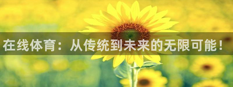 杏运电动汽车多少钱一辆：在线体育：从传统到未来的无限可能！