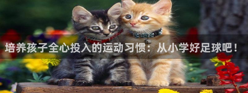 杏运凯捷开号链接：培养孩子全心投入的运动习惯：从小学好足球吧！