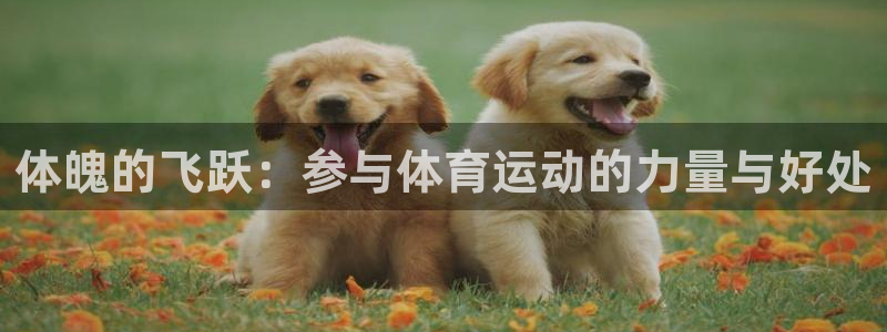 杏运体育app下载：体魄的飞跃：参与体育运动的力量与好处