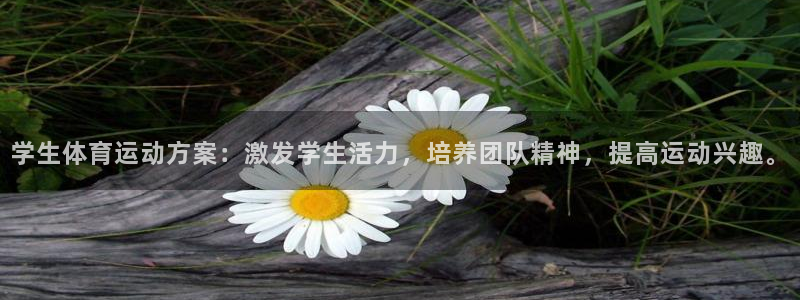 杏运汽车官网：学生体育运动方案：激发学生活力，培养团队精神，提高运动兴趣。