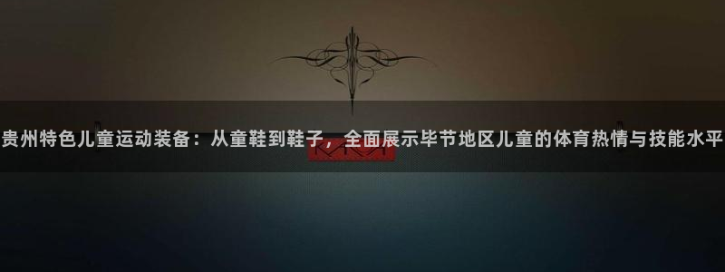 杏运f凯捷平台在线注册：贵州特色儿童运动装备：从童鞋到鞋子，全面展示毕节地区儿童的体育热情与技能水平