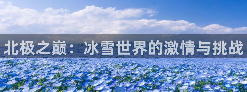杏运4平台：北极之巅：冰雪世界的激情与挑战